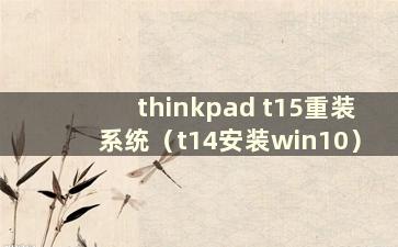 thinkpad t15重装系统（t14安装win10）
